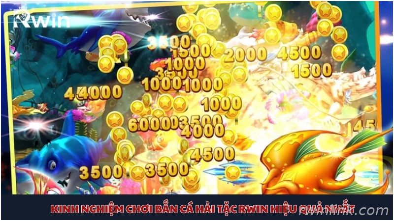 Trải nghiệm săn cá Hải Tặc Rwin nhận thưởng hấp dẫn